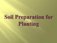 Soil Preparation for Planting