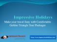 Easy Golden triangle tour packages with impressive Holidays PowerPoint PPT Presentation