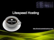 Litespeed Hosting