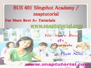 BUS 401  Slingshot Academy - snaptutorial.com