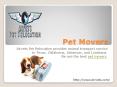 Pet Movers PowerPoint PPT Presentation