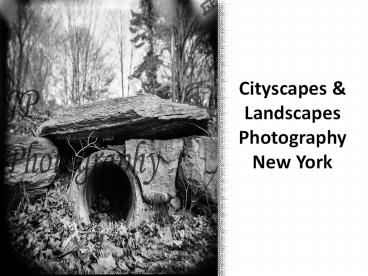 Cityscapes & Landscapes Photography New York