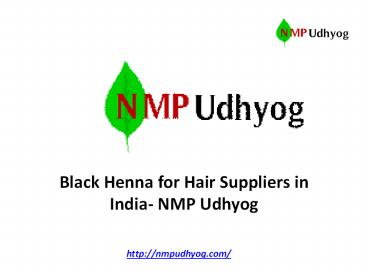 Black Henna for Hair Suppliers in India