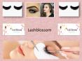 Beautiful Mink Lash Extensions Services by Lash Blossom PowerPoint PPT Presentation
