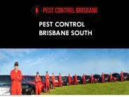 Pest Control Brisbane South