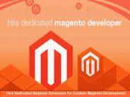 Hire Dedicated Magento Developers