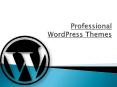 Professional WordPress Themes PowerPoint PPT Presentation