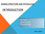 Human Structure and Physiology