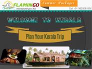 Must-Visit Locations For Your Kerala Tour