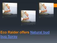 Best Natural Relief From Bed Bug Killer
