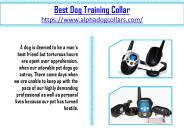 Best Dog shock training collar