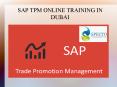 SAP TPM ONLINE TRAINING IN DUBAI PowerPoint PPT Presentation