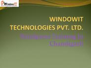 Wordpress Training At Windowit Chandigarh