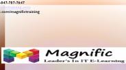 Oracle Apps Project Accounting online training in Australia (1)