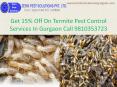 Get 15% off on termite pest control services in gurgaon call 9810353723 PowerPoint PPT Presentation