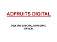 AdFruits Digital PowerPoint PPT Presentation