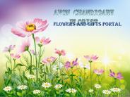 Flowers Delivery in Chandigarh