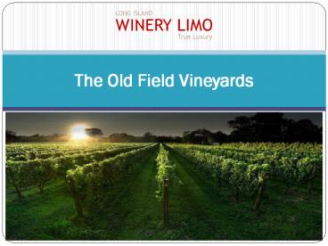 The Old Field Vineyards presentation | free to download