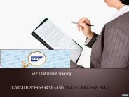 sap tram online training in usa