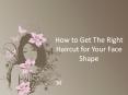 How to choose the hair style which suits your face? PowerPoint PPT Presentation