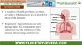 Ayurvedic Herbal remedies for respiratory tract infection