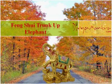Feng Shui Trunk Up Elephant- For Wish Fulfilment