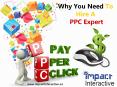 Why You Need To Hire A PPC (Pay Per Click) Expert PowerPoint PPT Presentation