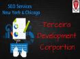 SEO(Search Engine Optimization) Services ! New York | Chicago | Digital Marketing PowerPoint PPT Presentation