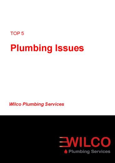 Top 5 Plumbing Home Issues