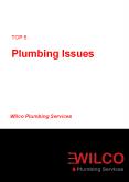 Top 5 Plumbing Home Issues (1) PowerPoint PPT Presentation