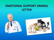 EmotionalSupport