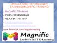 Oracle Identity Manager (IDM)Online Training Singapore PowerPoint PPT Presentation