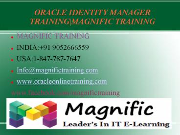 Oracle IDM 11g Online IT Services in USA