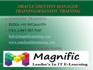 Oracle IDM 11g Online IT Services in USA