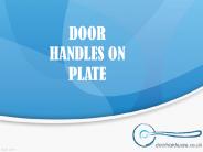 Door Handles on Plate