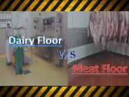 Dairy Floors Vs Meat Floors