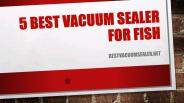 5 Best Vacuum Sealer for Fish