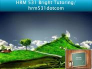 HRM 531 Bright Tutoring/ hrm531dotcom