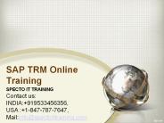 sap trm online training in usa,uk,australia