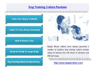 Dog Training Collars Reviews