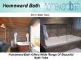 How to Make Your Bath Luxurious With Step in Tub? PowerPoint PPT Presentation
