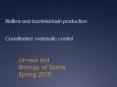 Biofilms and bacterial toxin production: Coordinated metabolic control PowerPoint PPT Presentation