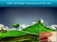 HUM 100 Bright Tutoring/hum100.com PowerPoint PPT Presentation