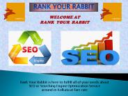 Rank Your rabbit - Offer Search Engine Optimization Service World Wide