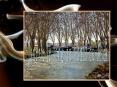 Flanerie le long du Canal du Midi PowerPoint PPT Presentation
