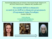 Diapositiva 1