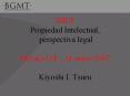 IMEF Propiedad Intelectual, perspectiva legal M PowerPoint PPT Presentation