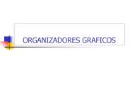 ORGANIZADORES GRAFICOS