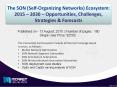 Self-Organizing Networks revenue is expected to grow to more than $4 Billion by the end of 2017 PowerPoint PPT Presentation