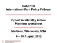 Cohort III International Pain Policy Fellows PowerPoint PPT Presentation